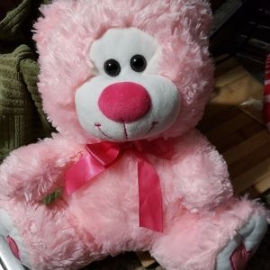 Pink Teddy Bear